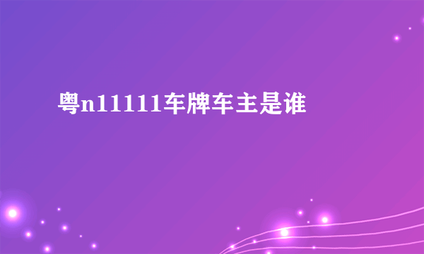 粤n11111车牌车主是谁