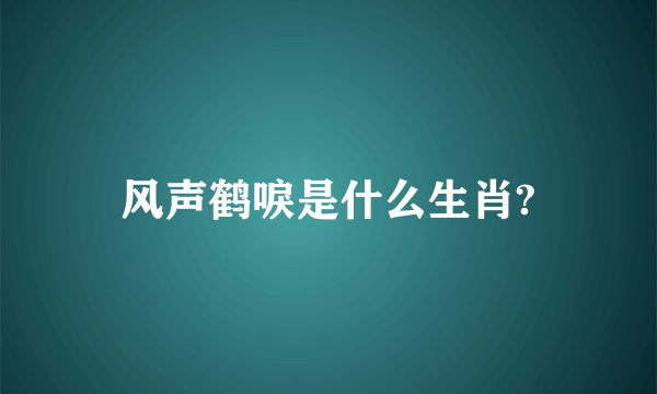 风声鹤唳是什么生肖?