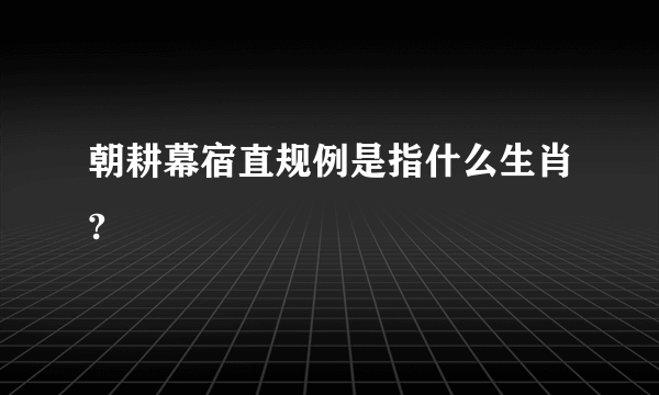 朝耕幕宿直规例是指什么生肖?