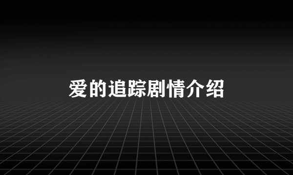 爱的追踪剧情介绍