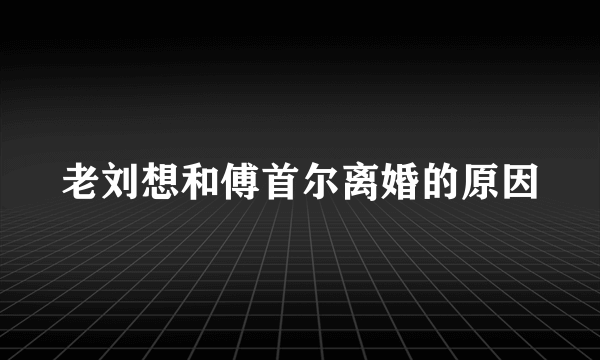 老刘想和傅首尔离婚的原因