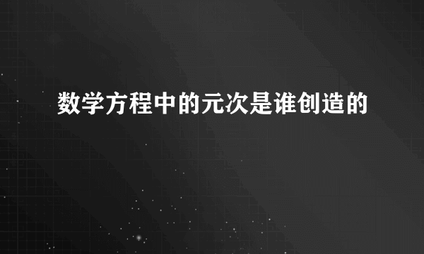 数学方程中的元次是谁创造的