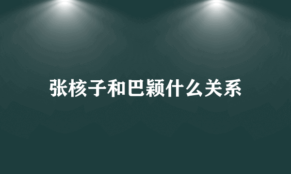 张核子和巴颖什么关系