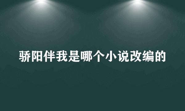 骄阳伴我是哪个小说改编的