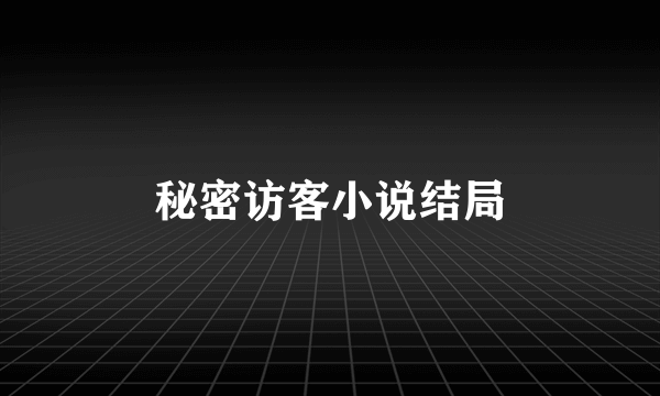 秘密访客小说结局