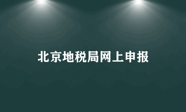 北京地税局网上申报