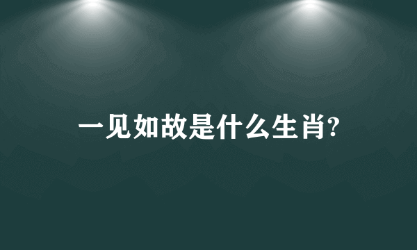 一见如故是什么生肖?