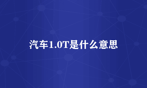 汽车1.0T是什么意思