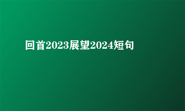 回首2023展望2024短句