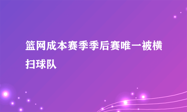 篮网成本赛季季后赛唯一被横扫球队