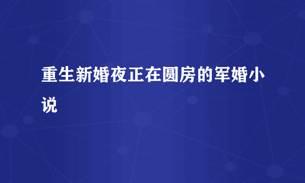 重生新婚夜正在圆房的军婚小说