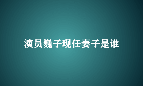 演员巍子现任妻子是谁