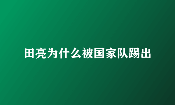 田亮为什么被国家队踢出