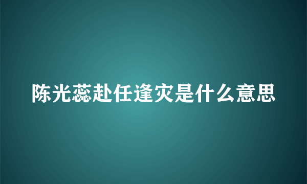 陈光蕊赴任逢灾是什么意思