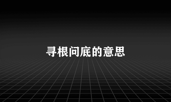 寻根问底的意思