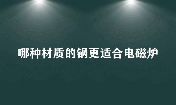 哪种材质的锅更适合电磁炉