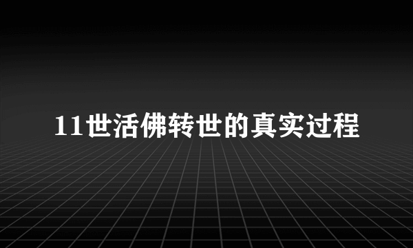 11世活佛转世的真实过程