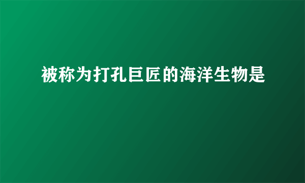 被称为打孔巨匠的海洋生物是