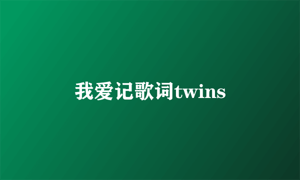 我爱记歌词twins