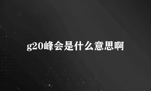 g20峰会是什么意思啊