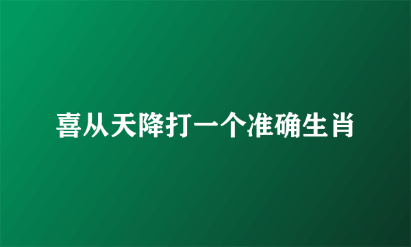 喜从天降打一个准确生肖