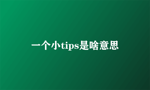 一个小tips是啥意思