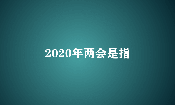 2020年两会是指