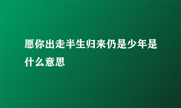 愿你出走半生归来仍是少年是什么意思