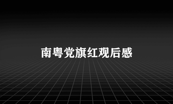 南粤党旗红观后感