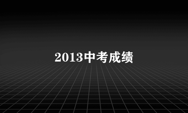 2013中考成绩