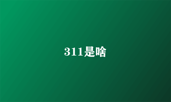 311是啥