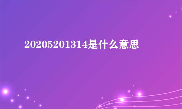 20205201314是什么意思