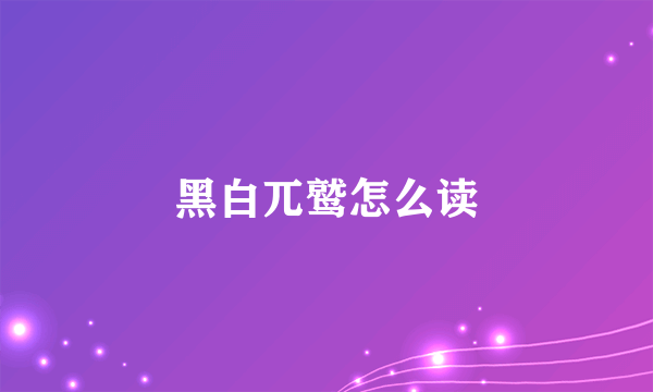 黑白兀鹫怎么读