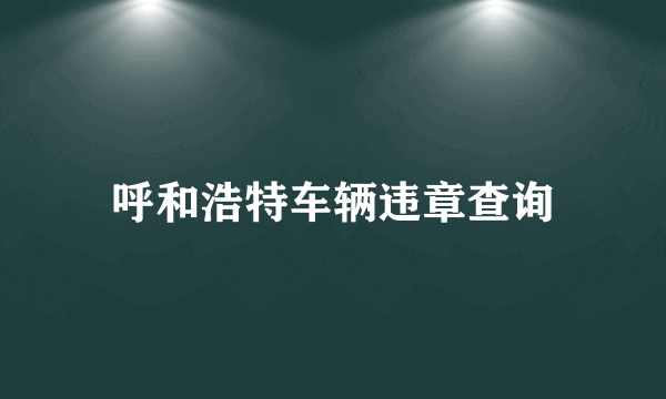 呼和浩特车辆违章查询