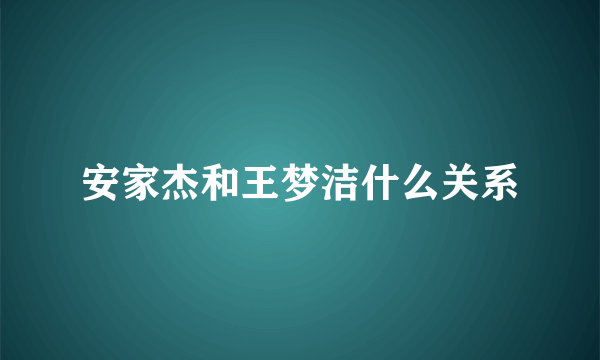 安家杰和王梦洁什么关系