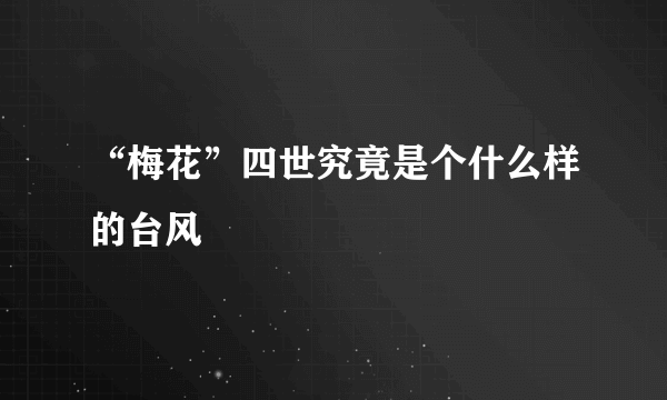 “梅花”四世究竟是个什么样的台风