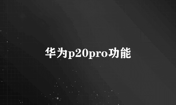 华为p20pro功能