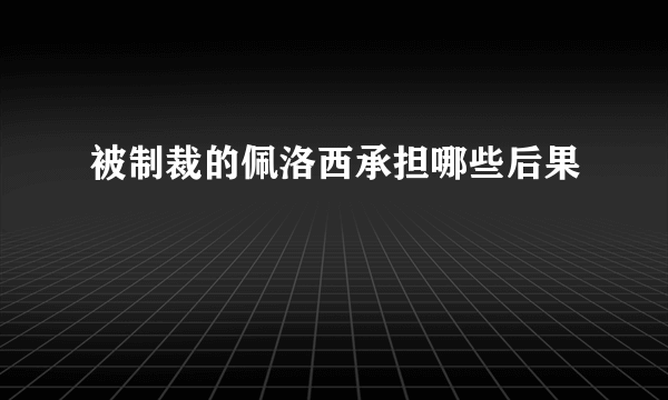 被制裁的佩洛西承担哪些后果