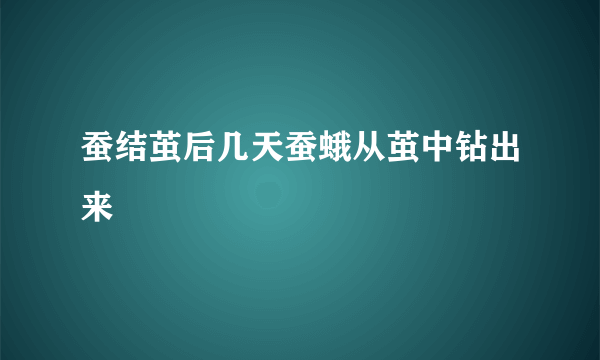 蚕结茧后几天蚕蛾从茧中钻出来