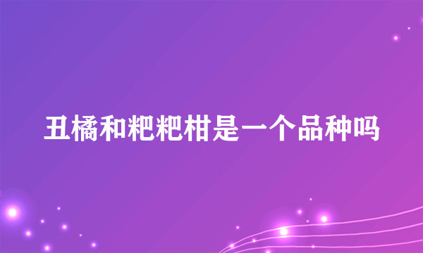 丑橘和粑粑柑是一个品种吗