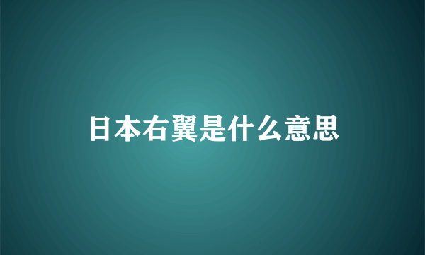 日本右翼是什么意思