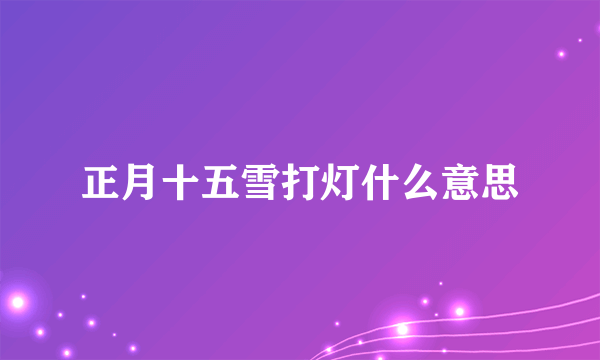 正月十五雪打灯什么意思