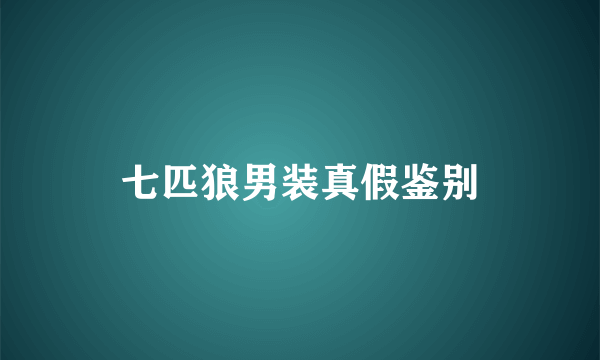 七匹狼男装真假鉴别