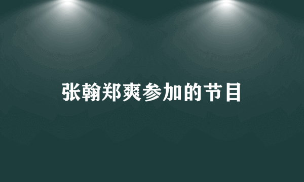 张翰郑爽参加的节目