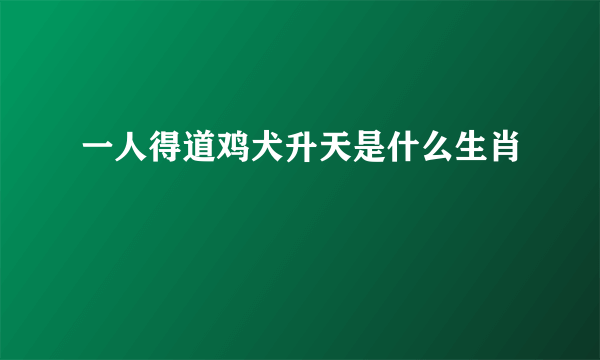 一人得道鸡犬升天是什么生肖