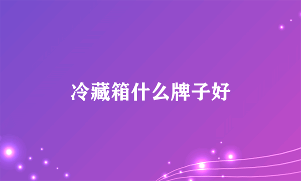 冷藏箱什么牌子好