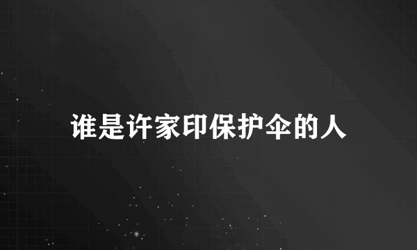 谁是许家印保护伞的人