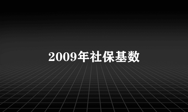 2009年社保基数