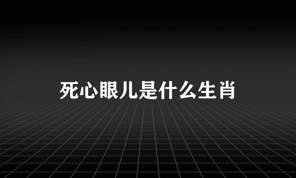 死心眼儿是什么生肖