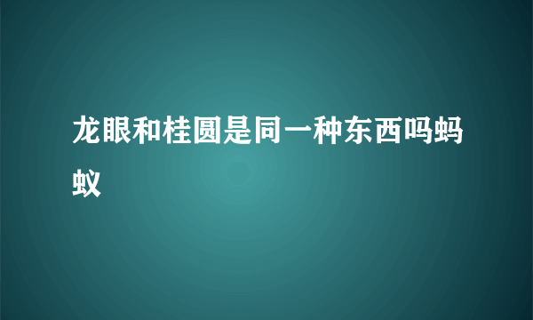 龙眼和桂圆是同一种东西吗蚂蚁